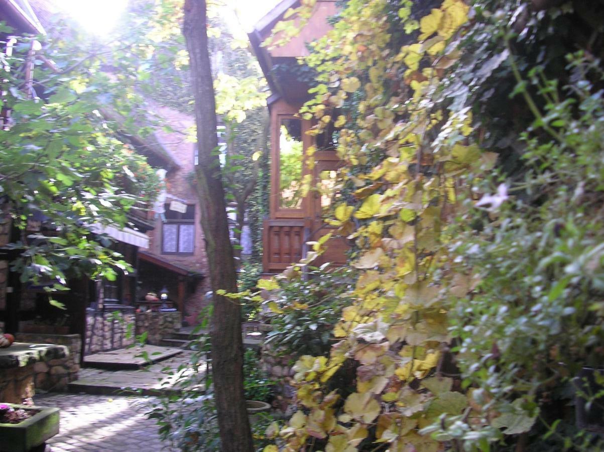 Gite Le Riesling Bergheim Exterior foto